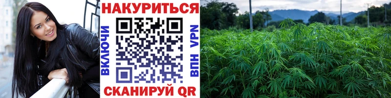 Конопля ГИДРОПОН  Купить где  Старый Крым 